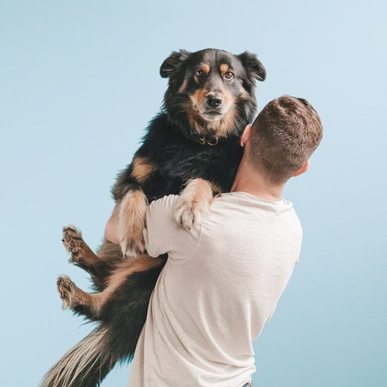Where Pet Care Meets Love, Comfort & Everyday Joy