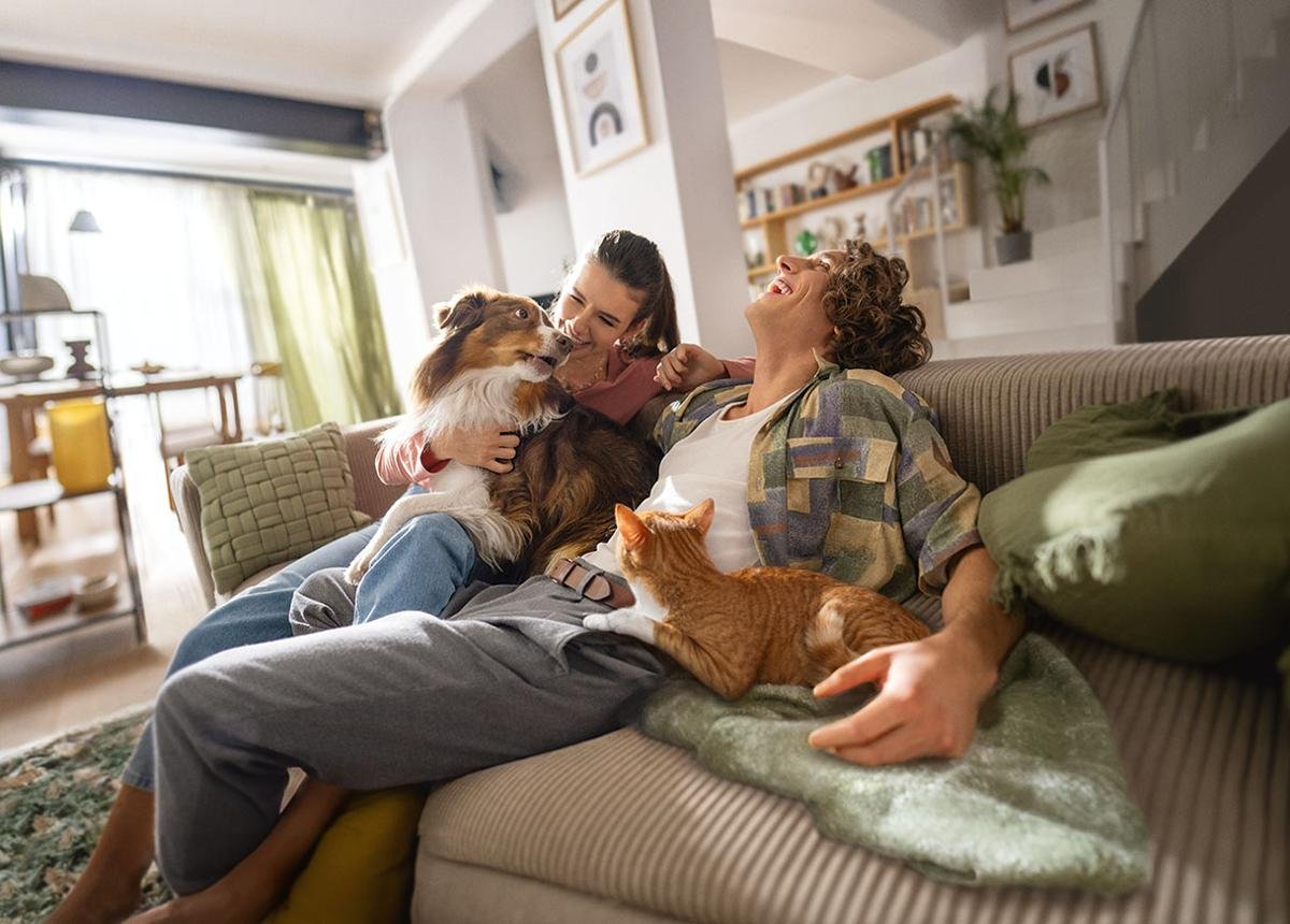 Everything Your Pet Needs, Made Simple