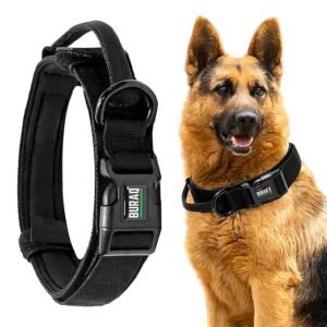 Durable Tactical Nylon Dog Collar with Handle