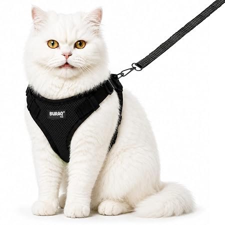 Adjustable Cat Harness with No Pull Leash
