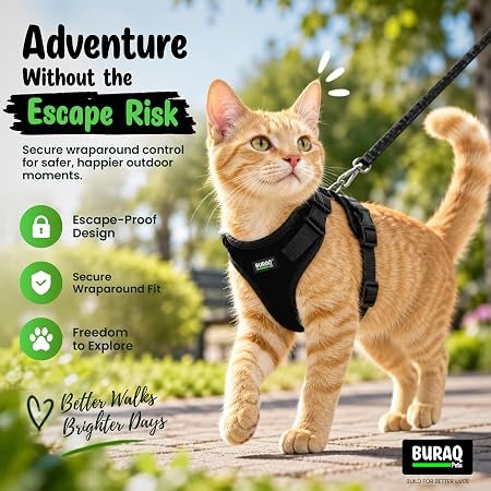Adjustable Cat Harness with No Pull Leash Hover Image