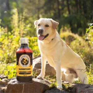 FUR BALL STORY Multivitamin Syrup Pet Immunity Energy Booster Hover Image