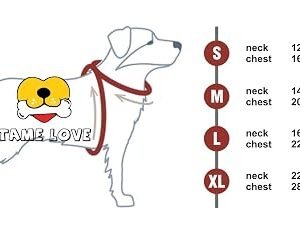 Reflective Dog Harness with Strap for Walks Hover Image