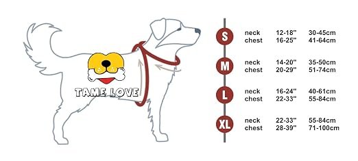 Reflective Dog Harness with Strap for Walks Hover Image