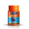 Intan Betta Floating Pellets Nutritious Ornamental Fish Food