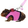 Small Animal Soft Harness Leash For Ferret
