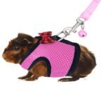 Small Animal Soft Harness Leash For Ferret