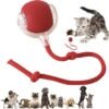 Automatic Rolling Rechargeable Cat Chase Ball