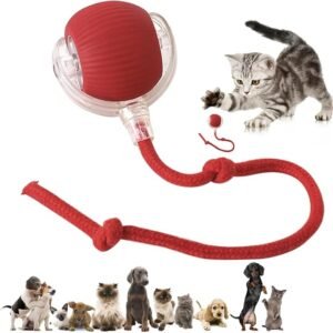 Automatic Rolling Rechargeable Cat Chase Ball