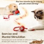 Automatic Rolling Rechargeable Cat Chase Ball Hover Image
